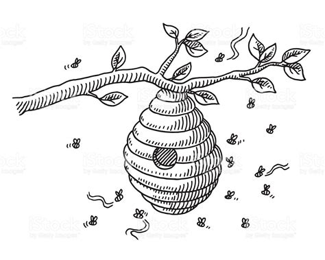 drawing hive